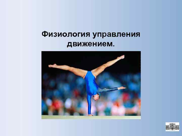 Физиология управления движением. 