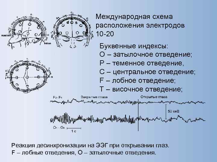       Международная схема      расположения