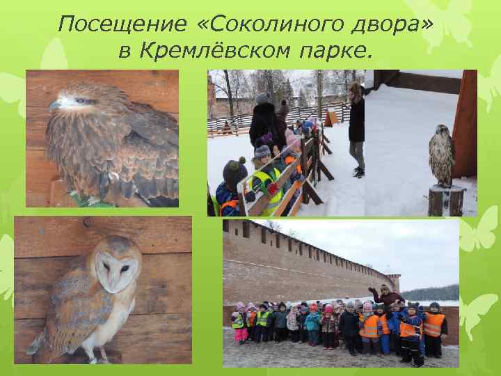 Посещение «Соколиного двора» в Кремлёвском парке. 