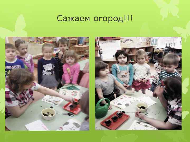 Сажаем огород!!! 