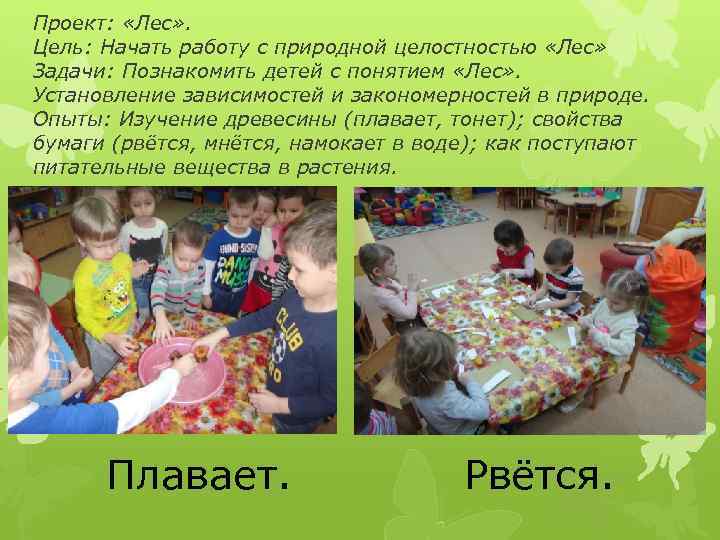 Проект:  «Лес» . Цель: Начать работу с природной целостностью «Лес» Задачи: Познакомить детей