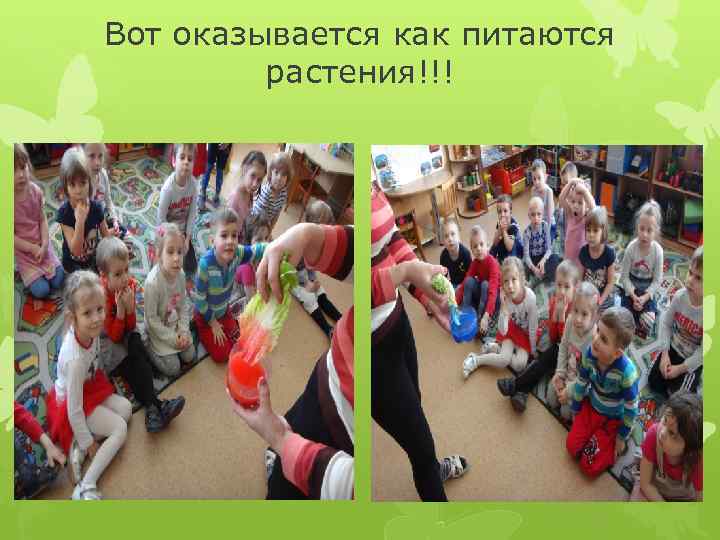 Вот оказывается как питаются   растения!!! 