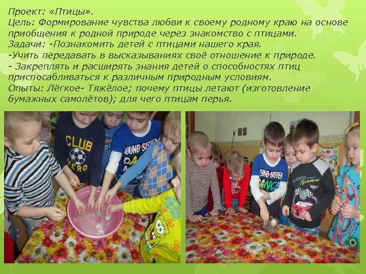 Проект:  «Птицы» . Цель: Формирование чувства любви к своему родному краю на основе