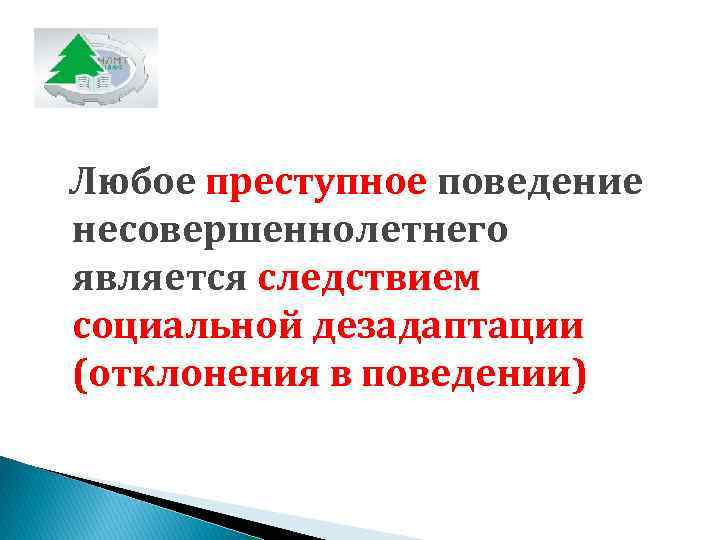  Любое преступное поведение  несовершеннолетнего  является следствием  социальной дезадаптации  (отклонения
