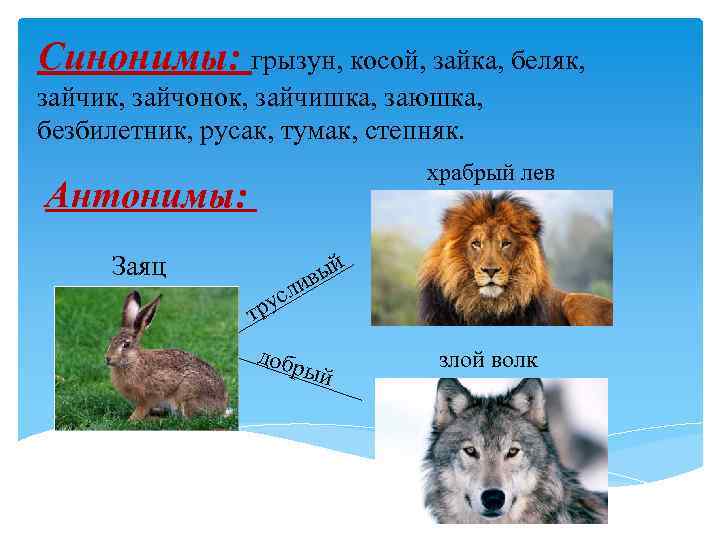 Синонимы: грызун, косой, зайка, беляк, зайчик, зайчонок, зайчишка, заюшка, безбилетник, русак, тумак, степняк. 