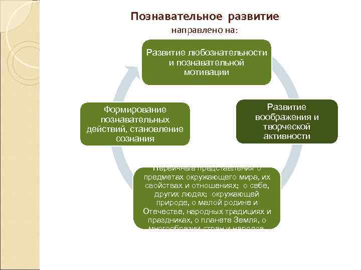   Познавательное развитие    направлено на:    Развитие