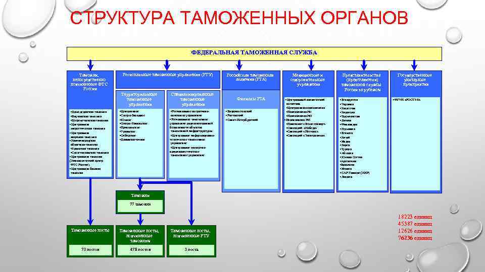 СТРУКТУРА ТАМОЖЕННЫХ ОРГАНОВ      ФЕДЕРАЛЬНАЯ ТАМОЖЕННАЯ СЛУЖБА  Таможни, 