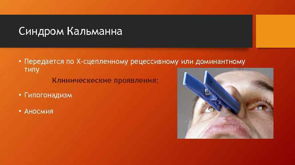 Синдром Кальманна  • Передается по Х-сцепленному рецессивному или доминантному  типу  