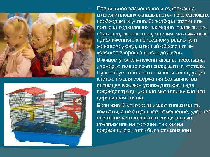 Правильное размещение и содержание млекопитающих складывается из следующих необходимых условий: подбора Правильное размещение и содержание млекопитающих складывается из следующих необходимых условий: подбора