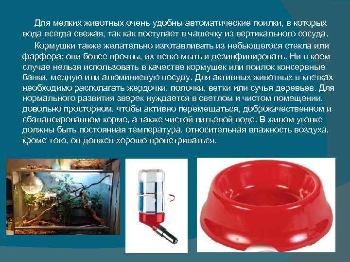 Для мелких животных очень удобны автоматические поилки, в которых вода всегда свежая, Для мелких животных очень удобны автоматические поилки, в которых вода всегда свежая,