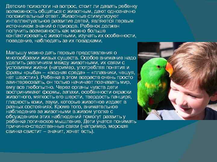 Детские психологи на вопрос, стоит ли давать ребенку возможность общаться с животным, Детские психологи на вопрос, стоит ли давать ребенку возможность общаться с животным,