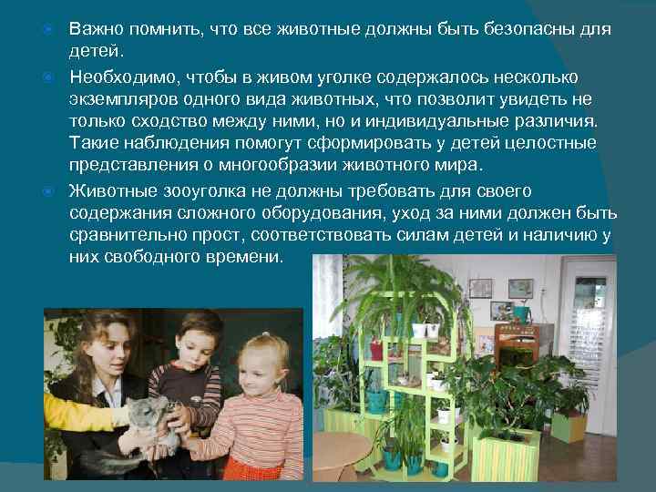 Важно помнить, что все животные должны быть безопасны для детей. Необходимо, Важно помнить, что все животные должны быть безопасны для детей. Необходимо,