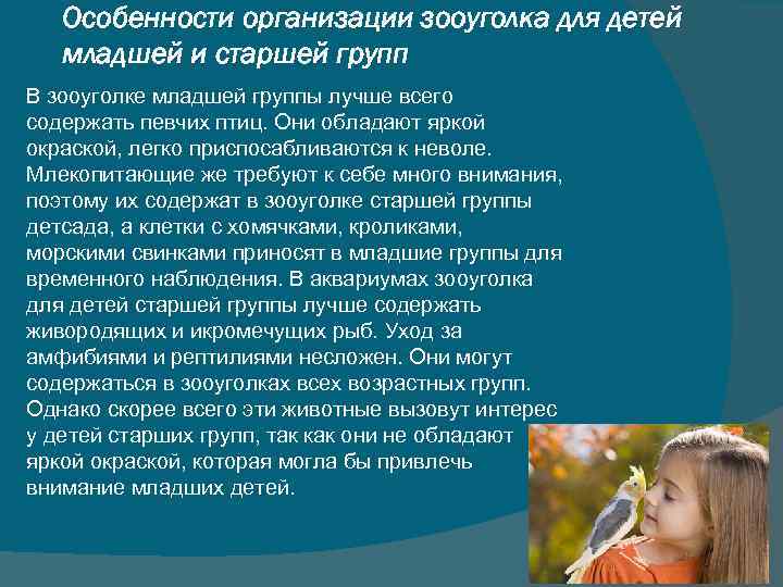 Особенности организации зооуголка для детей младшей и старшей групп В зооуголке Особенности организации зооуголка для детей младшей и старшей групп В зооуголке