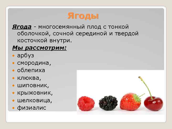 многообразие плодов 6 класс. многосемянный плод ягода. сочные плоды. арбуз односемянный или многосемянный плод. многосемянные плоды ягода.