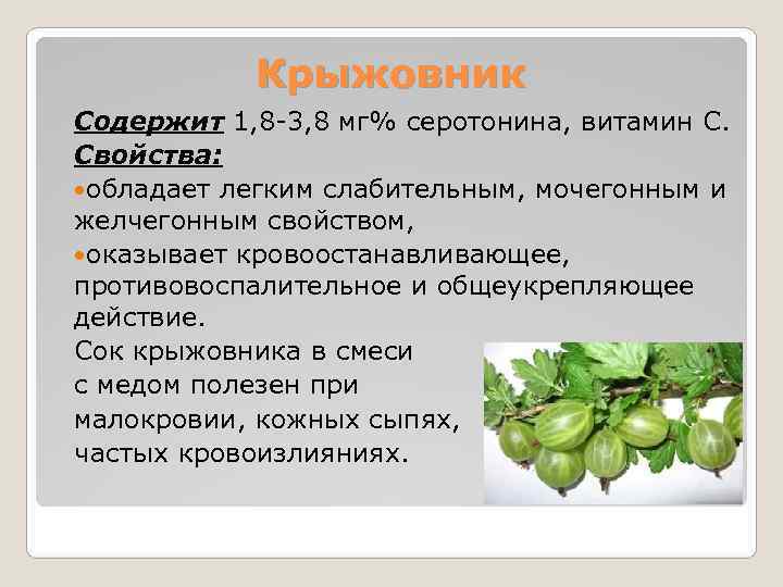   Крыжовник Содержит 1, 8 -3, 8 мг% серотонина, витамин С. Свойства: 