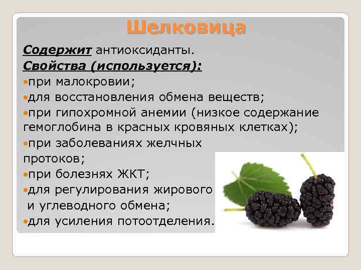    Шелковица Содержит антиоксиданты. Свойства (используется):  при малокровии;  для восстановления