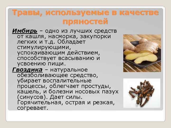 Травы, используемые в качестве  пряностей Имбирь – одно из лучших средств  от