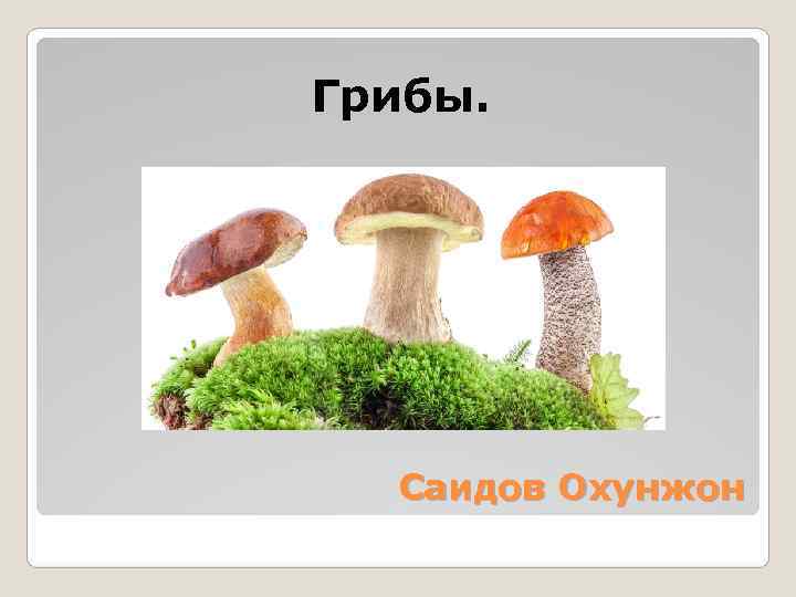 Грибы.   Саидов Охунжон 