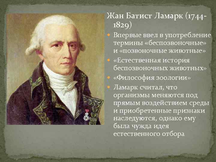 Жан Батист Ламарк (1744 - 1829)  Впервые ввел в употребление  термины «беспозвоночные»