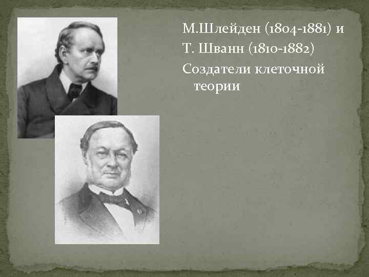М. Шлейден (1804 -1881) и Т. Шванн (1810 -1882) Создатели клеточной  теории 