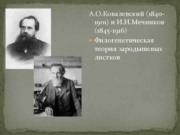 А. О. Ковалевский (1840 -  1901) и И. И. Мечников  (1845 -1916)