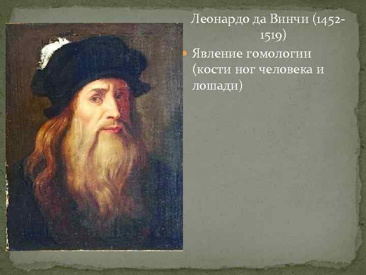  Леонардо да Винчи (1452 -   1519)  Явление гомологии  (кости