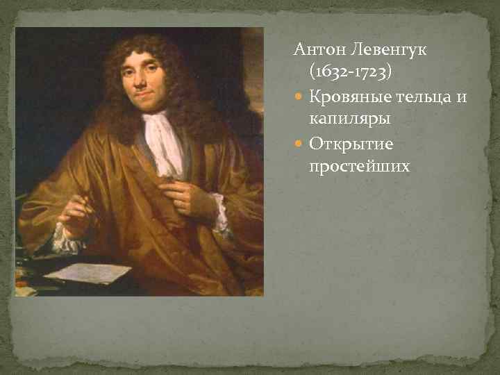 Антон Левенгук  (1632 -1723)  Кровяные тельца и  капиляры  Открытие 