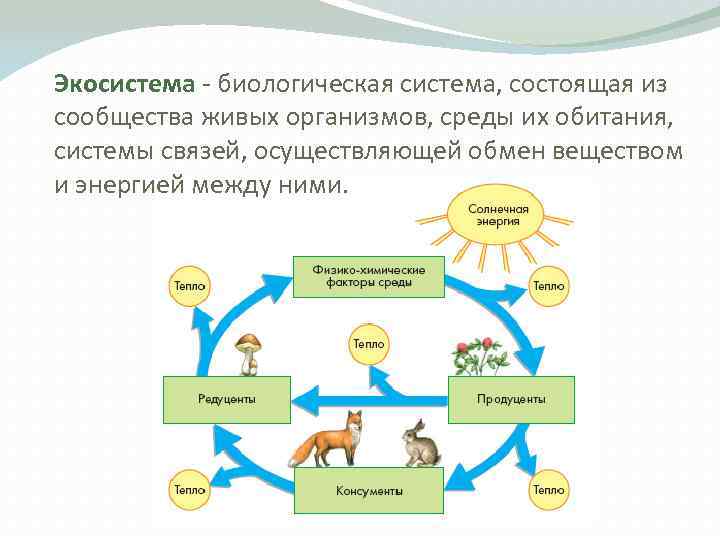 Схема взаимодействия человека со средой обитания