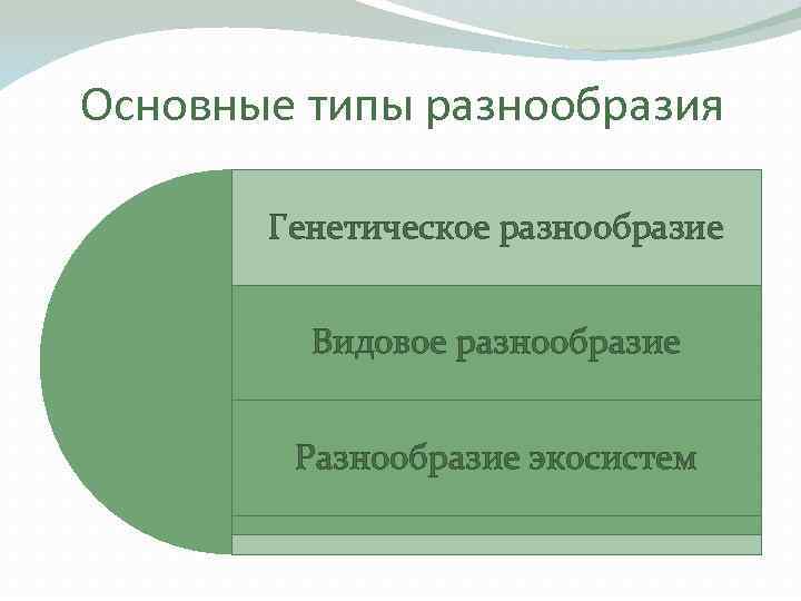 Потеря биоразнообразия картинки