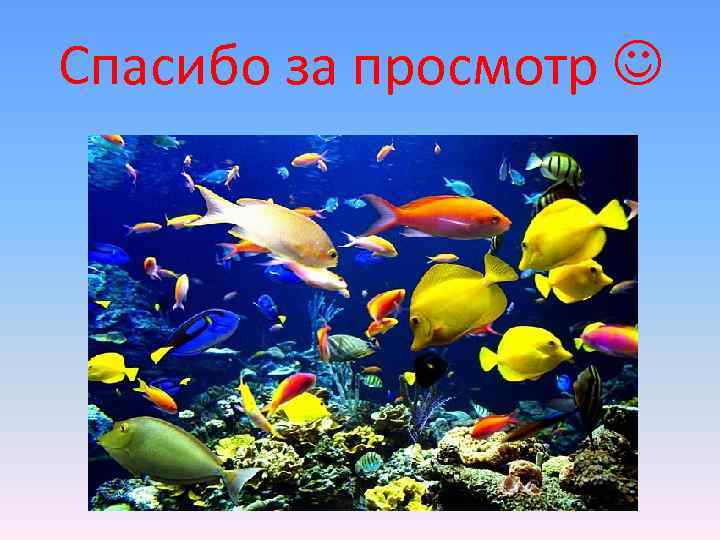 Спасибо за просмотр  