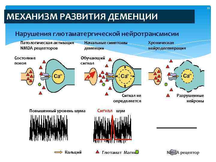         39  МЕХАНИЗМ РАЗВИТИЯ ДЕМЕНЦИИ Нарушения