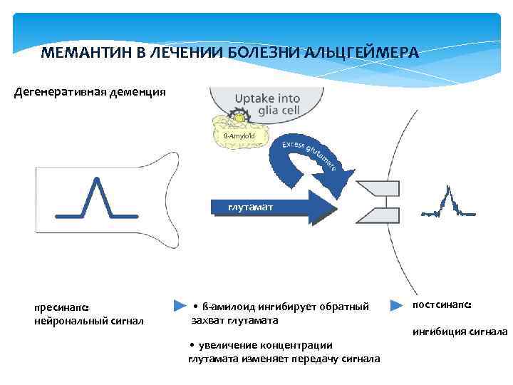 Болезнь альцгеймера презентация патофизиология