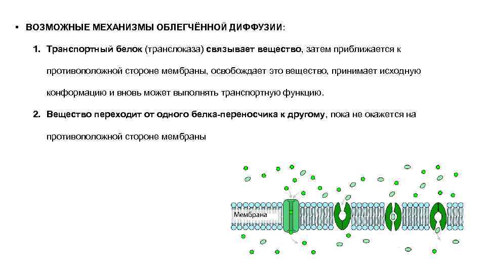 Облегченная диффузия