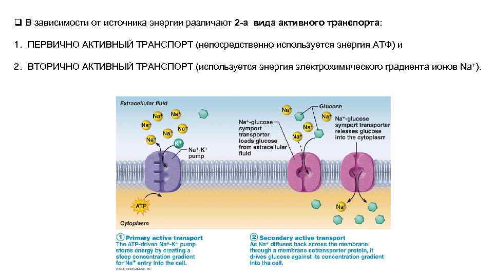 В зависимости от источника