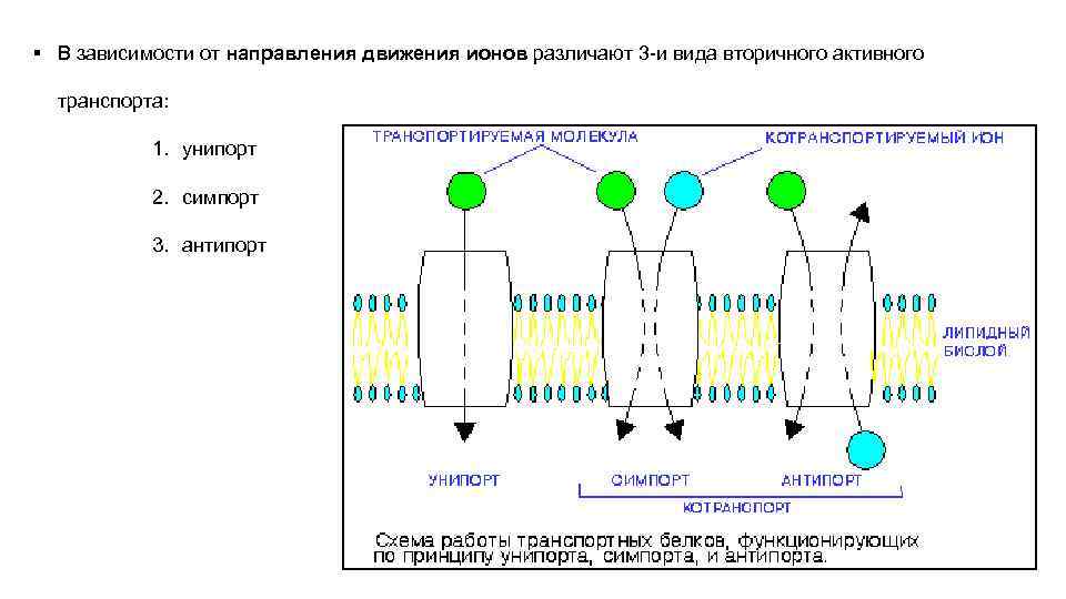 Ион схема прохождения