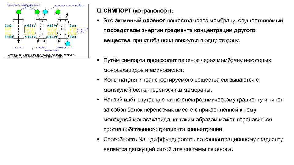 q СИМПОРТ (котранопорт): § Это активный перенос вещества через мембрану, осуществляемый  посредством энергии