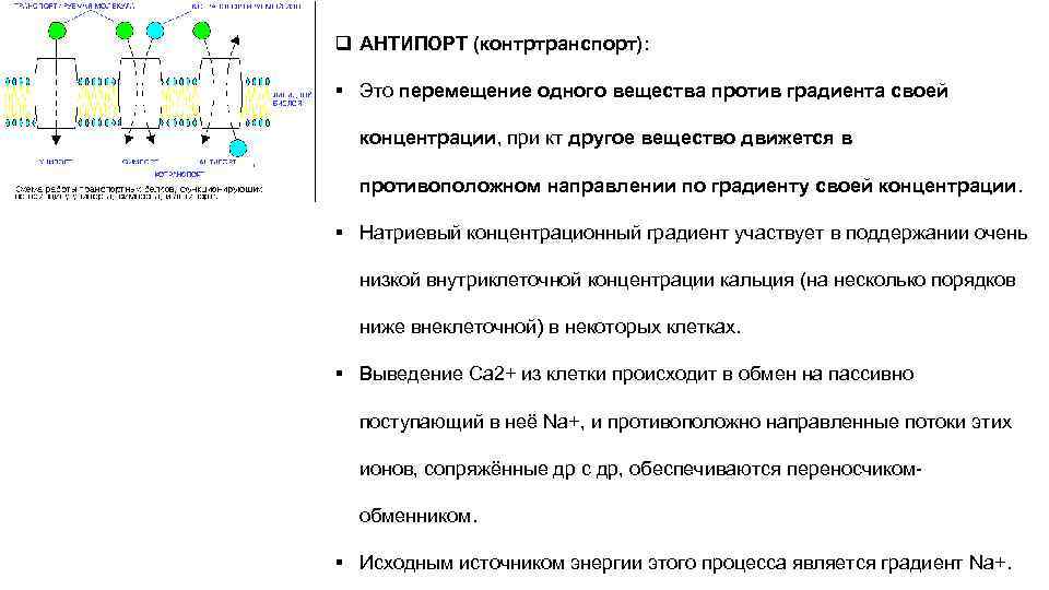 q АНТИПОРТ (контртранспорт):  § Это перемещение одного вещества против градиента своей  концентрации,