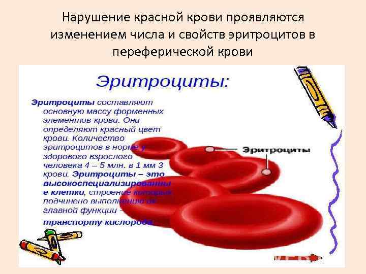  Нарушение красной крови проявляются изменением числа и свойств эритроцитов в   переферической