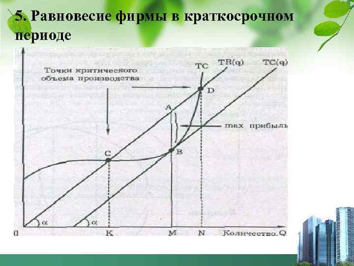 5. Равновесие фирмы в краткосрочном периоде 