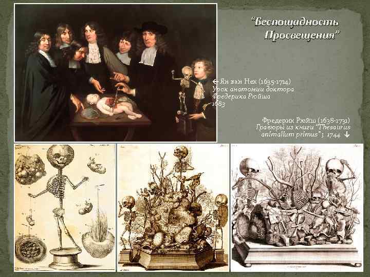   “Беспощадность    Просвещения”  ← Ян ван Нек (1635 -1714)