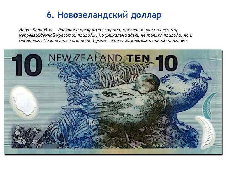   6. Новозеландский доллар Новая Зеландия — далекая и прекрасная страна, прославившая на