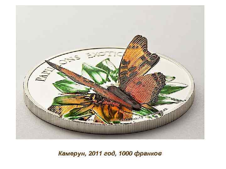 Камерун, 2011 год, 1000 франков 