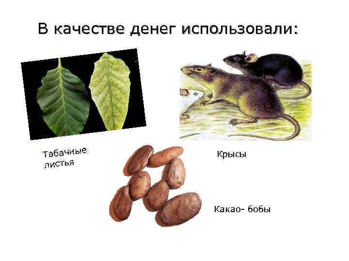 В качестве денег использовали:   е Табачны   Крысы листья  
