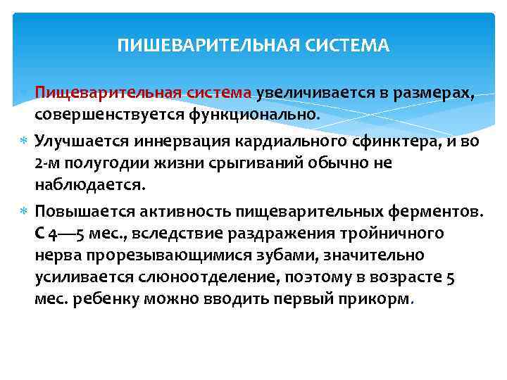    ПИШЕВАРИТЕЛЬНАЯ СИСТЕМА  Пищеварительная система увеличивается в размерах,  совершенствуется функционально.