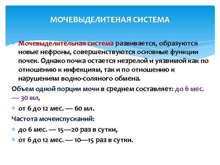   МОЧЕВЫДЕЛИТЕНАЯ СИСТЕМА  Мочевыделительная система развивается, образуются  новые нефроны, совершенствуются основные