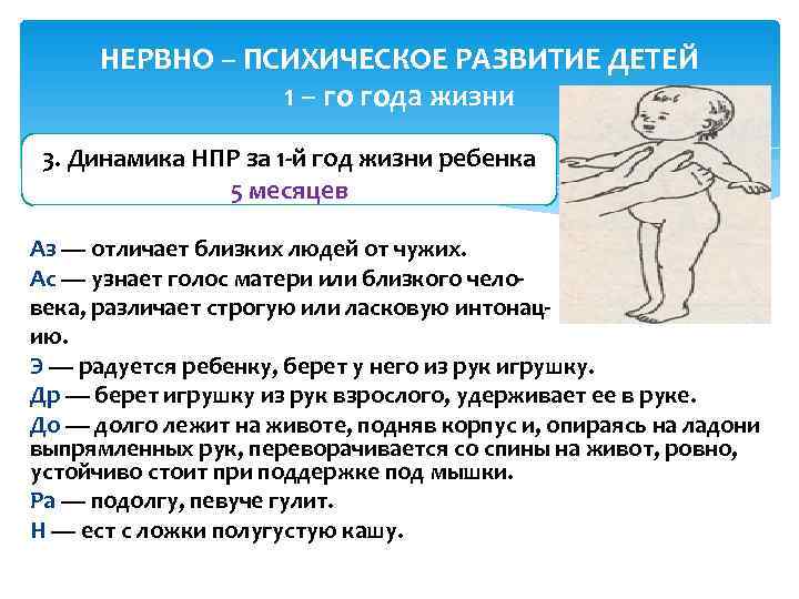  НЕРВНО – ПСИХИЧЕСКОЕ РАЗВИТИЕ ДЕТЕЙ   1 – го года жизни 3.