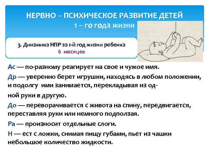  НЕРВНО – ПСИХИЧЕСКОЕ РАЗВИТИЕ ДЕТЕЙ   1 – го года жизни 