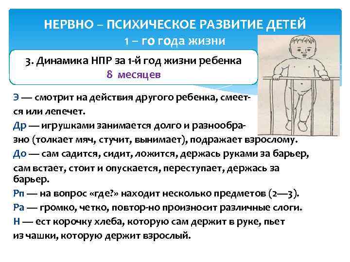  НЕРВНО – ПСИХИЧЕСКОЕ РАЗВИТИЕ ДЕТЕЙ   1 – го года жизни 