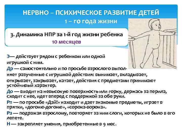  НЕРВНО – ПСИХИЧЕСКОЕ РАЗВИТИЕ ДЕТЕЙ   1 – го года жизни 3.