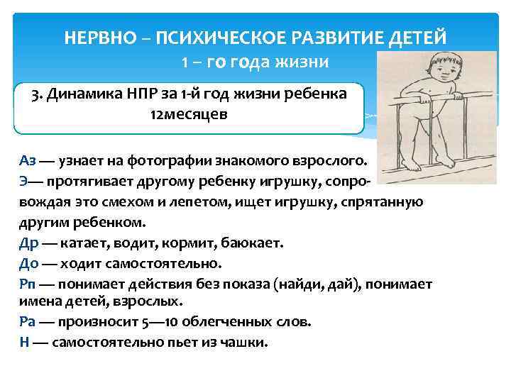  НЕРВНО – ПСИХИЧЕСКОЕ РАЗВИТИЕ ДЕТЕЙ   1 – го года жизни 3.